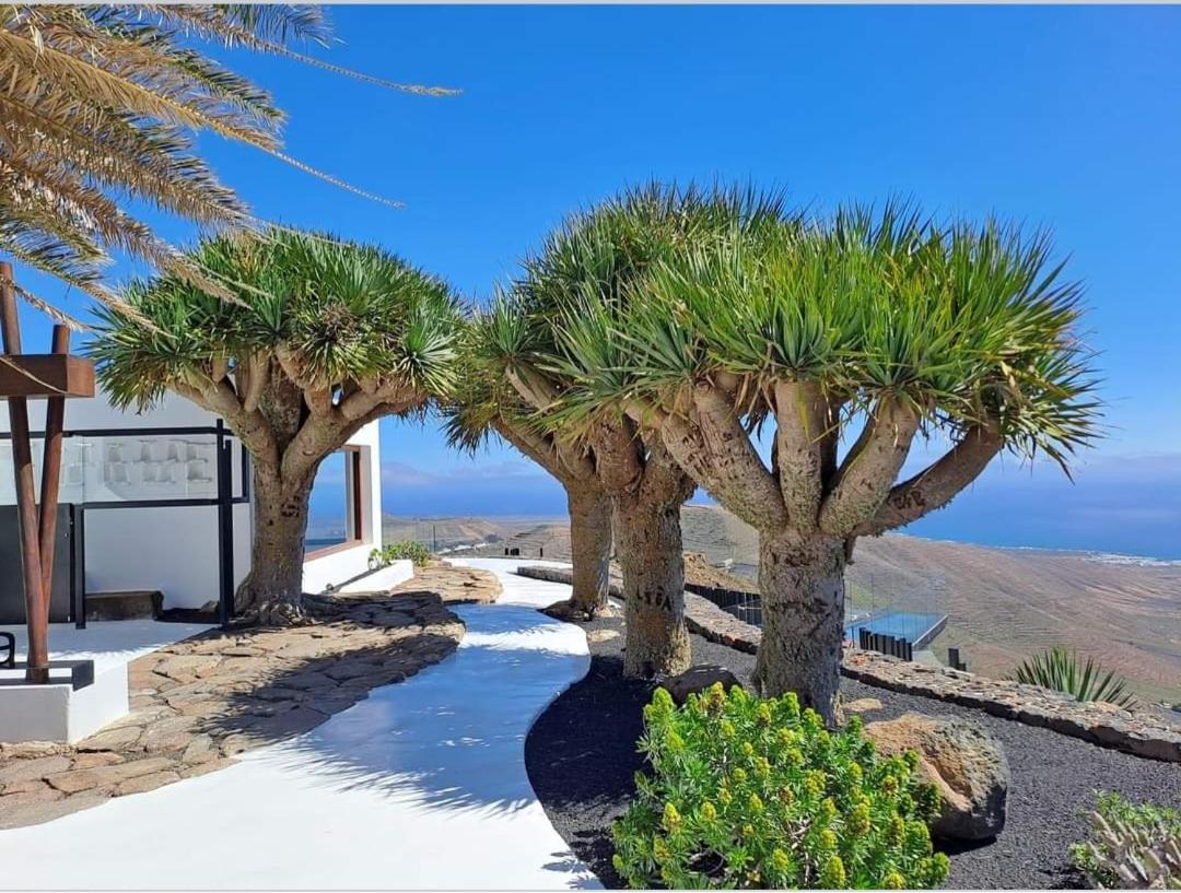Casa La Tunera, Country House, Haria, Lanzarote Buitenkant foto